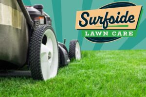 affordable lawn care services