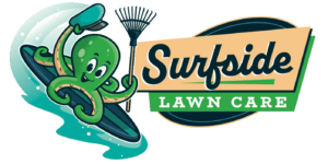 affordable lawn care services